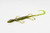 Zoom Bait Company Lizard 6 inch soft plastic bait. Color is watermelon chartreuse.