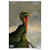 BIRCHWOOD CASEY PREGAME 12" X 18" TURKEY TARGETS 8 PACK