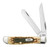CASE MINI TRAPPER FOLDING KNIFE WITH PEACH SEED JIG AMBER BONE HANDLE