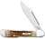 CASE MINI COPPERLOCK FOLDING KNIFE WITH PEACH SEED JIG AMBER BONE HANDLE