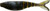 GARY YAMAMOTO 4" KICKIN' ZAKO PADDLE TAIL SWIMBAIT BLUE CRAW 5 PACK