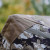BARRONETT BLINDS BIG CAT HEAVY-DUTY POP UP BLIND