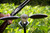 MOJO OUTDOORS VOODOO DOVE DECOYS