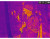 AGM CLOBAL VISION RATTLER TS25-384 THERMAL SCOPE