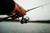 13 FISHING AERIOS SPINNING REEL
