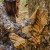 BARRONETT BLINDS HI-FIVE POP UP BLIND