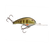 STRIKE KING 6XD ELITE CRANKBAIT