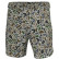 LOCAL BOY OUTFITTERS VOLLEY SHORTS