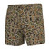 Local Boy Volley Shorts