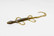 Zoom Bait Company Lizard 6 inch soft plastic bait. Color is Watermelon Candy.