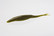 Zoom Bait Company Magnum Super Fluke 7 inch Soft plastic bait. Color is called Watermelon Red.