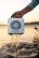 lifestyle image of white turtlebox cub being lifted out of the water