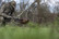 AVIAN X HDR FEEDING HEN TURKEY DECOY