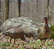 AVIAN X HDR FEEDING HEN TURKEY DECOY