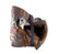 AVIAN X LCD LAYDOWN HEN DECOY