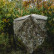 BARRONETT BLINDS BIG CAT HEAVY-DUTY POP UP BLIND