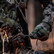 Close-up of a bowhunter wearing the Pnuma Recon Element Proof Glove in Caza camo