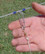 MAGIC BAIT TROTLINE CLIPS STAINLES STEEL 25 PACK