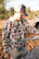 TWO DOVE OUTDOORS SCOUT PERFORMANCE HOODIE SOUTH COAST CAMO