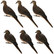 AVIAN-X FULL BODY DOVE DECOY 6 PACK