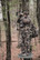 PNUMA OUTDOORS VINTIS PANT CAZA OV