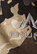 PNUMA OUTDOORS WAYPOINT GLOVE CAZA