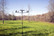 MOJO OUTDOORS DOVE DECOY TREE WITH BAG