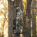 DSG BREANNA 2.0 DROP BIB REALTREE APX