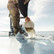 LACROSSE ALPHA DECK 6" BOOT WILD DOVE