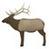 GLENDEL HALF SCALE ELK 3D ARCHERY TARGET