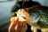 6TH SENSE FISHING SPANGLE TINSEL JIG