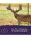 RECORD RACK BUCK DEVELOPER BAGGED FEED 50LB