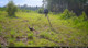 WISE EYE MINI CAM 2 GAME CAMERA
