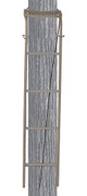 TROPHY TREESTANDS HANGTIME LADDER