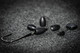 6TH SENSE FISHING PITCH BLACK TUNGSTEN FLIPPING WEIGHT
