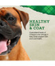 NUTRENA LOYALL LIFE ADULT LARGE BREED LAMB MEAL & BROWN RICE BAGGED DOG FOOD 40LBS