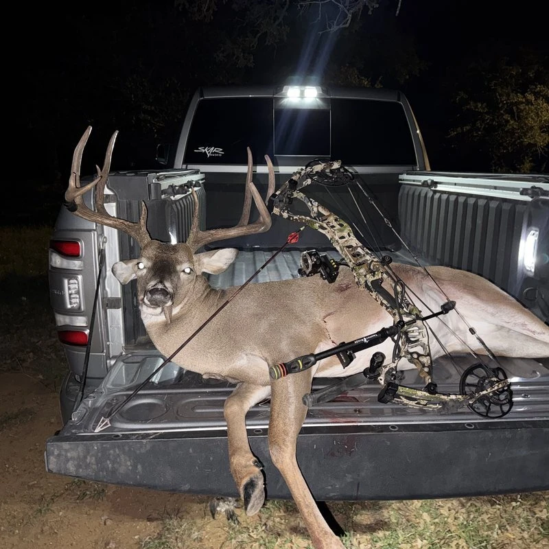 Sterling Andrews – Caza Youth Hunter