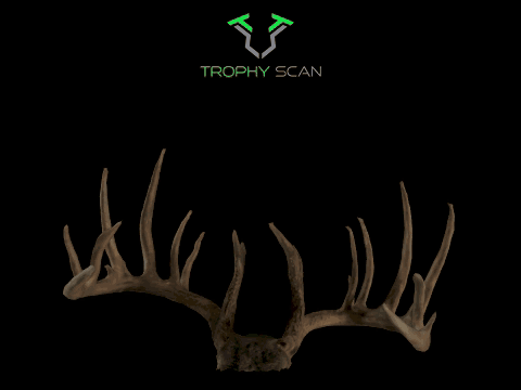 Rotating Trophy Scan 3D scan of the 3rd place rack