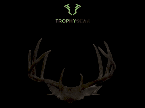 Rotating Trophy Scan 3D scan of the 2nd place rack