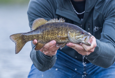 FISHING