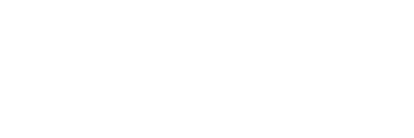 Savage logo