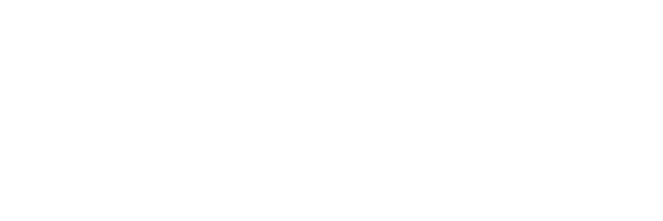 Taurus logo