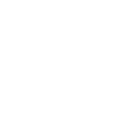 Vortex