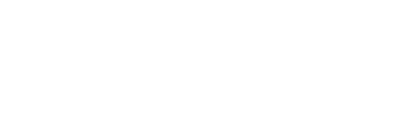 Wiseeye Technology logo