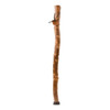 Brazos™ Sapling American Hardwood Free-Form Walking Stick with Compass, 55-Inch Height, Brown