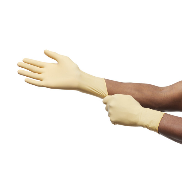 Protexis™ Polychloroprene Surgical Glove, Size 7.5, Ivory