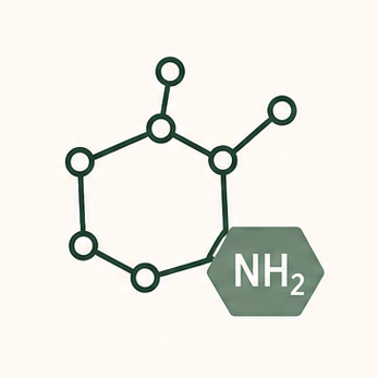 Vegetarian glucosamine