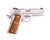 Stainless Pro Raptor 4.25" 45 ACP 1911 Stainless Pro Raptor 4.25" 45 ACP 1911