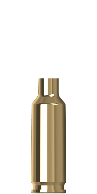 lapua 6mm dasher brass cases