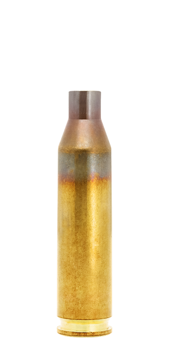 lapua 243 winchester brass cases